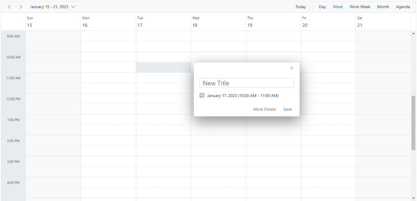 Display Customize Watermark Text of Quick Popup in ASP.NET Core Scheduler
