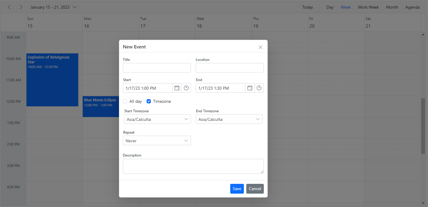 Display Customizing Timezone in ASP.NET Core Scheduler